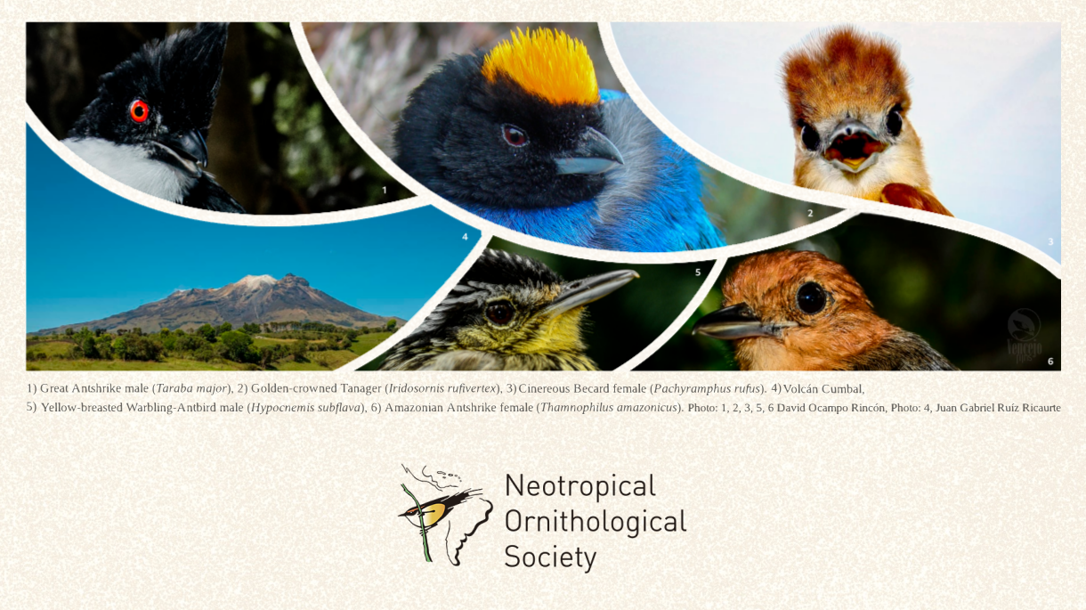 Lightning bolt symbol on red background